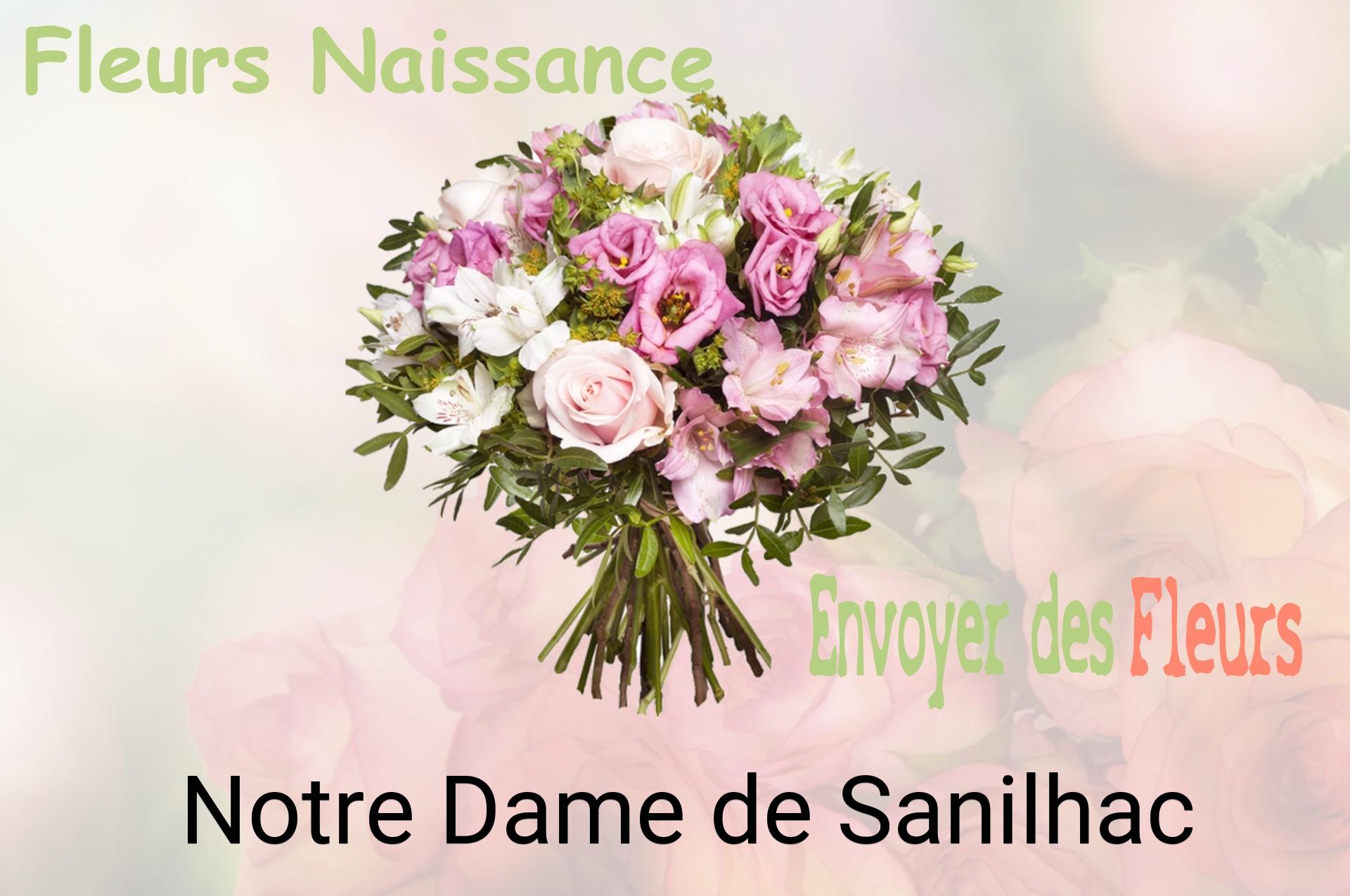 Bouquet de fleurs de naissance livré à Notre-Dame-de-Sanilhac